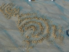 Crab sand art