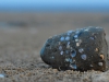 Shell and sand cork